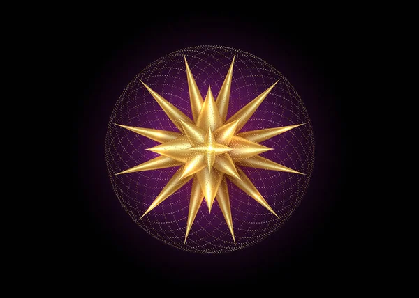 Estrella Del Norte Rosa Del Viento Del Oro Diseño Logotipo — Archivo Imágenes Vectoriales