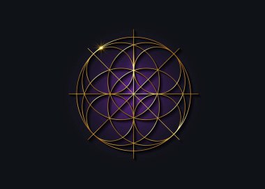 Kutsal Geometri altın sembolü, yaşam işareti tohumu. Geometrik, gizemli, lüks, mor, simya, hayat çiçeği mandala. Altın çizgi sanat vektörü ilahi meditasyon tılsımı siyah arkaplanda izole edilmiş.