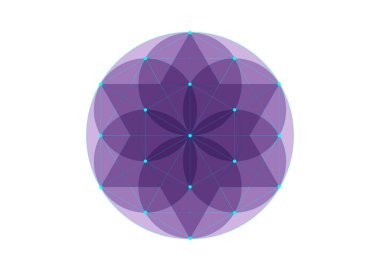 Yaşam sembolü Kutsal Geometri. Simya 'nın geometrik mistik mandala' sı esrarengiz hayat çiçeği mor renkte. İlahi meditasyon tılsımı, beyaz arkaplanda izole edilmiş vektör.