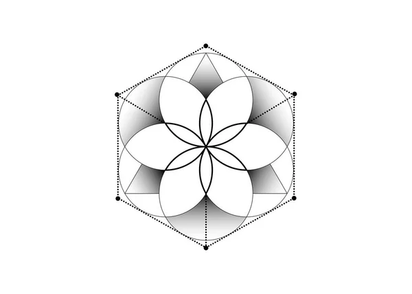 Fiore Della Vita Geometria Sacra Simbolo Alchimia Cubo Esoterico Dei — Vettoriale Stock