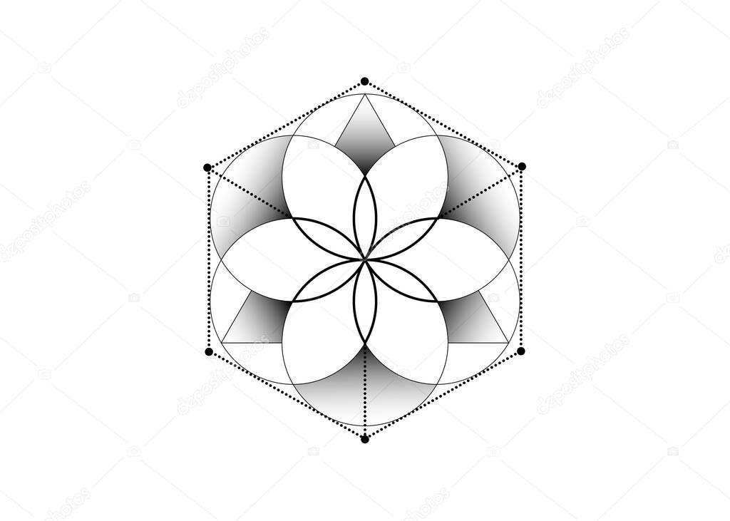 Flower of Life. Sacred geometry, Symbol of alchemy esoteric Metatrons cube. Mystic icon platonic solids, abstract geometric drawing, typical crop circles. Vector tattoo isolated on white background
