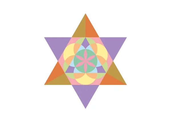 生命之花象征着梅特龙 梅尔卡巴神圣几何 多彩的标志图标 几何学的神秘明星炼金术深奥的生命种子 在白色背景下分离的矢量纹身神冥想护身符 — 图库矢量图片