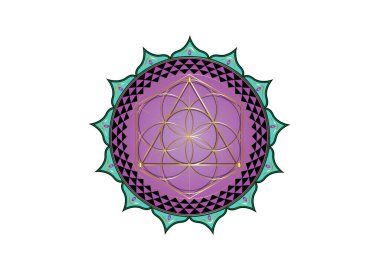 Yaşam Çiçeği sembolü Kutsal Geometri. Logo simgesinin etrafındaki renkli Lotus simya ezoterik hayat tohumunun mistik mandala 'sı. Beyaz arkaplanda izole edilmiş ilahi vektör meditasyon tılsımı