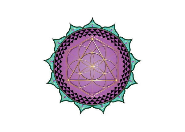 生命の花は神聖幾何学を象徴する カラフルなロータスラウンドロゴアイコン錬金術密教の幾何学的な神秘的な曼荼羅生命の種 白地に隔離されたベクトル神の瞑想のお守り — ストックベクタ