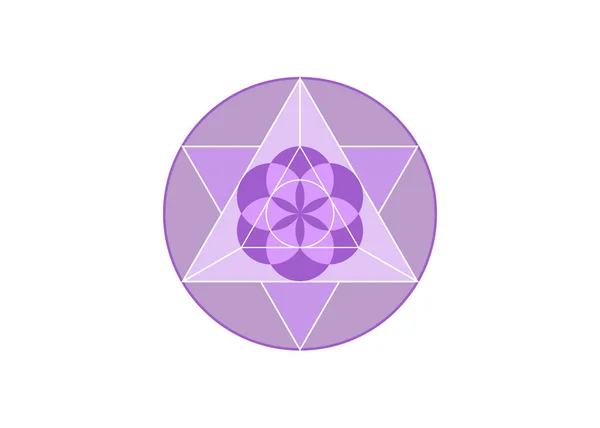 Flor Vida Símbolo Metatrón Merkaba Geometría Sagrada Logo Púrpura Icono — Vector de stock
