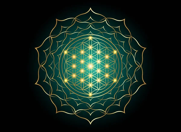 生命の花 蓮の花のヤントラ曼荼羅 神聖幾何学 調和とバランスの明るい黄金のシンボル 神秘的な金のお守り黒と緑の背景に隔離されたベクトル — ストックベクタ
