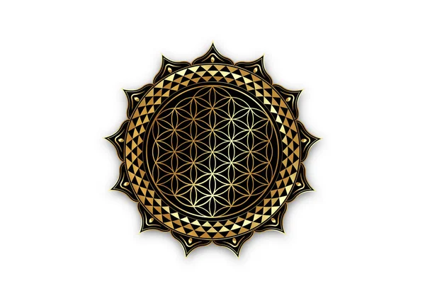 Flower Life Yantra Mandala Lotusbloem Heilige Geometrie Helder Gouden Luxe — Stockvector