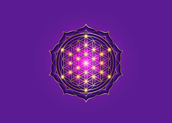 Flower Life Yantra Mandala Lotusbloem Heilige Geometrie Helder Gouden Symbool — Stockvector