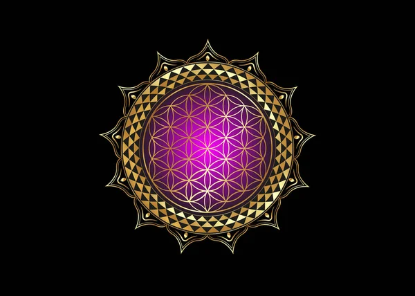 生命之花 莲花中的延特拉曼达拉 神圣的几何 明亮的金色奢华象征着和谐与平衡 神秘的紫色荷花黄金护身符 在黑色背景上分离的载体 — 图库矢量图片