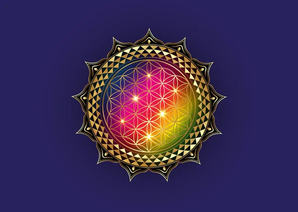 Flower Life Yantra Mandala Lotusbloem Heilige Geometrie Helder Gouden Luxe — Stockvector