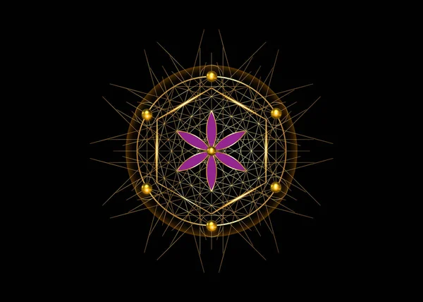 生命のシンボルの種神聖な幾何学 金のロゴアイコン錬金術の幾何学的神秘的なマンダラ生命の花 黒の背景に隔離されたベクトル神の瞑想のお守り — ストックベクタ