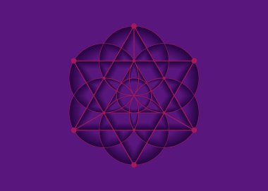 Yaşam Çiçeği sembolü Metatron Merkaba Kutsal Geometri. Hayatın simya ezoterik tohumunun logo simgesi Geometrik mistik mandala 'sı. Mor arka planda izole edilmiş vektör pembe dövmeli ilahi meditasyon tılsımı.