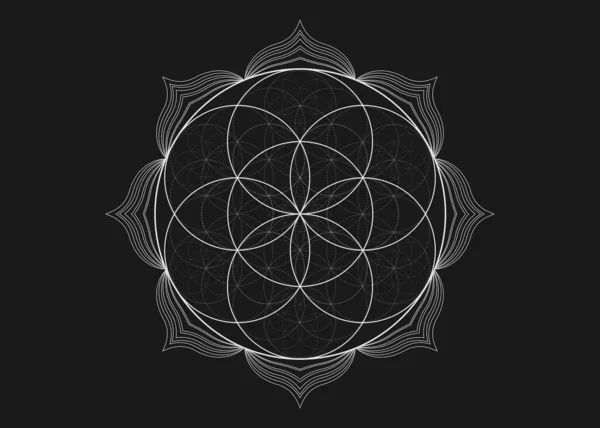 Samenblume Des Lebens Lotussymbol Yantra Mandala Heilige Geometrie Tätowiertes Symbol — Stockvektor