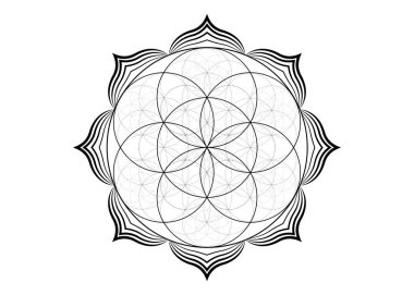 Nilüfer çiçeği ikonu, yantra mandala kutsal geometri, uyum ve dengenin dövme sembolü. Mistik tılsım, beyaz arkaplanda izole edilmiş siyah çizgiler vektörü. 
