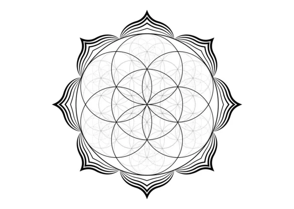 Σπόρος Λουλούδι Της Ζωής Εικόνα Λωτού Yantra Mandala Ιερή Γεωμετρία — Διανυσματικό Αρχείο