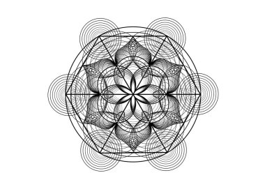 Yaşam sembolü Kutsal Geometri. Simya ezoterik hayat çiçeğinin logo simgesi Geometrik mistik mandala. Siyah vektör çizgileri, Yantra, çakra veya nilüfer ilahi meditasyon muskası beyaz üzerine izole edilmiş. 