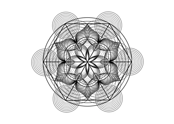 Seme Vita Simbolo Geometria Sacra Icona Del Logo Mandala Mistico — Vettoriale Stock