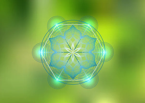 Seme Vita Simbolo Geometria Sacra Icona Del Logo Mandala Mistico — Vettoriale Stock