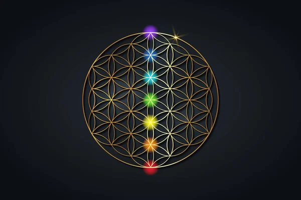 Flor Vida Sete Chakras Geometria Sagrada Ouro Conjunto Pontos Chakra — Vetor de Stock