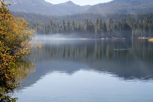 Forest reflected in misty mountain lake — Stock Photo, Image