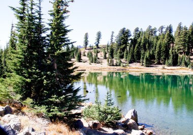 mavi dağ gölüne yansıyan ağaçlar