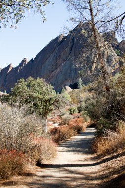 Pinnacles kaya sallamak-e doğru iz