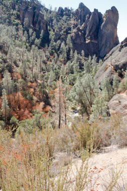 Pinnacles kaya sallamak-e doğru iz