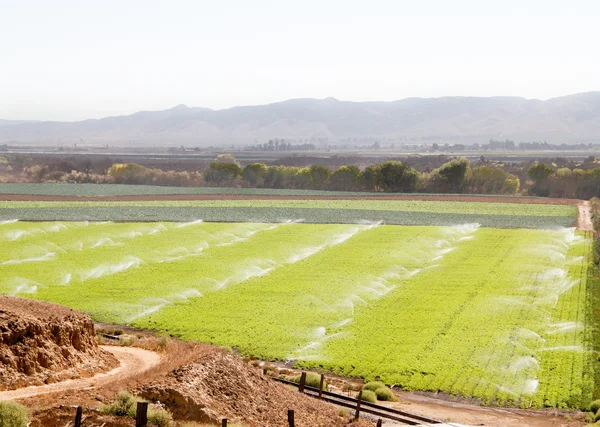 Watering fertile calif farmland — Stock Photo, Image