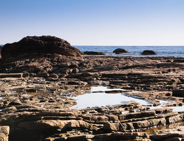 Tichomořské pobřeží skalnaté příliv fondy Royalty Free Stock Obrázky