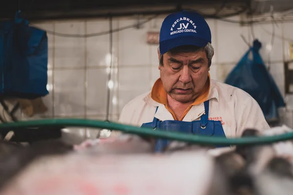 Lebensmittelmarkt in Chile. — Stockfoto