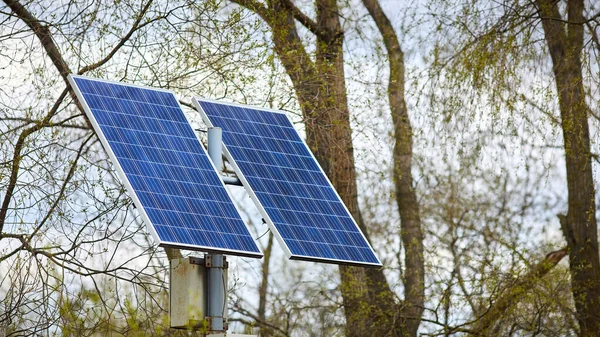 Solar battery generates clean green energy for lanterns in public park between trees. Concept of environmental conservation, combating pollution and greenhouse effect new technologies and innovations.