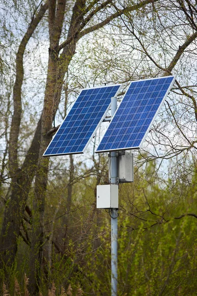 Solar battery generates clean green energy for lanterns in public park selective focus between trees. Concept of environmental conservation, combating pollution and greenhouse effect new technologies.