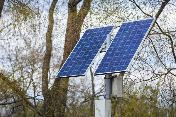 Solar battery generates clean green energy for lanterns in public park between trees. Concept of environmental conservation, combating pollution and greenhouse effect innovations and new technologies.