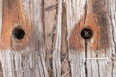 sert desenli ahşap demiryolu uykucusu delinmiş cıvata delikleriyle