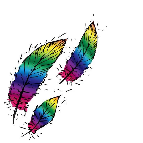 Drie kleurrijke veren — Stockvector
