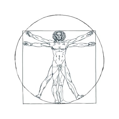 Vitruvialı adam, Leonardo 'nun adamı. Ayrıntılı çizim siyah beyaz vektör illüstrasyon altın oran homo vitruviano.