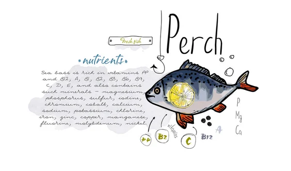 Rybí Bidýlko Ručně Kreslené Set Akvarel Inkoust Jídlo Vitamin Menu — Stockový vektor