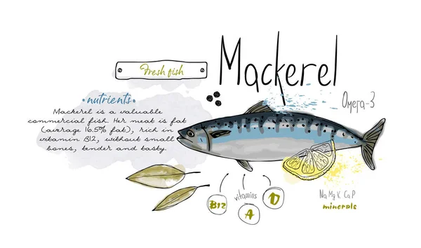 Ryby Makrela Ręcznie Narysowane Zestaw Atrament Akwarela Żywności Witaminy Menu — Wektor stockowy