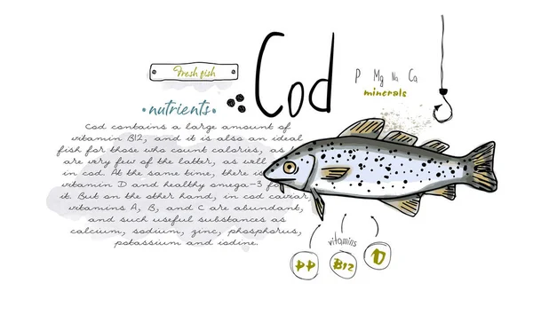 Rybí Treska Ručně Kreslené Set Akvarel Inkoust Jídlo Vitamin Menu — Stockový vektor
