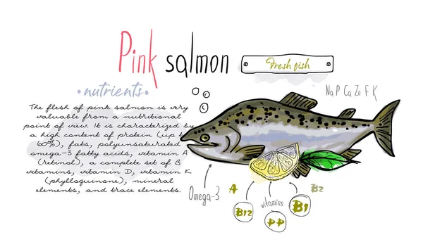 Rybí Růžový Losos Ručně Kreslené Set Akvarel Inkoust Jídlo Vitamin — Stockový vektor