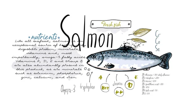 Balık Somonu Çizimi Set Suluboya Mürekkebi Yiyecek Vitamin Menüsü Restoranı — Stok Vektör