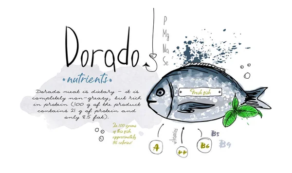 Ryby Dorado Ručně Kreslené Set Akvarel Inkoust Jídlo Vitamin Menu — Stockový vektor