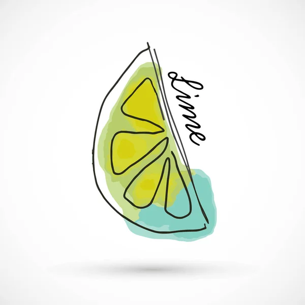 Lime Plátek Akvarel Styl Vektor Ilustrace Ovoce Menu Polovina Citrusové — Stockový vektor
