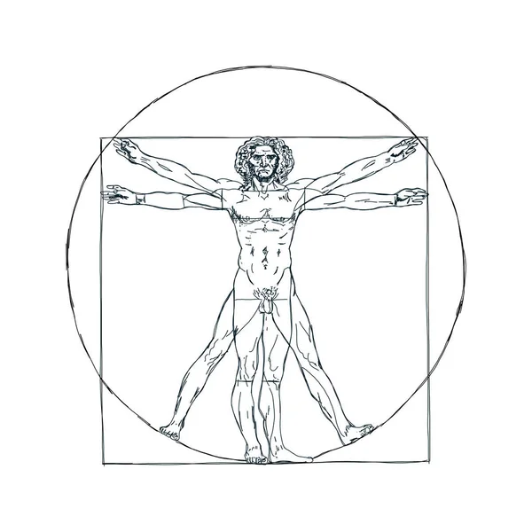 Vitruvian Man Leonardo Man Detailed Drawing Ink Black White Vector — Stock Vector