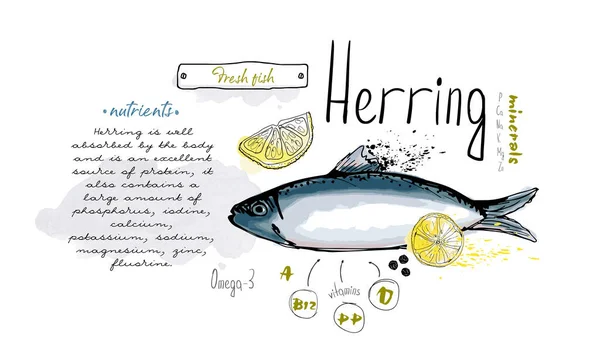 Ryby Śledź Ręcznie Narysowane Zestaw Atrament Akwarela Żywności Witaminy Menu — Wektor stockowy
