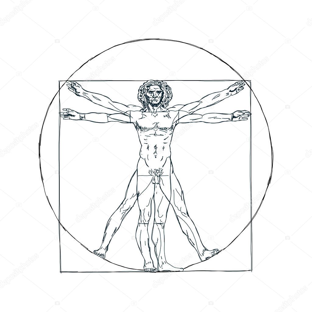 The Vitruvian man, Leonardo's man. Detailed drawing ink black and white vector illustration golden ratio homo vitruviano.