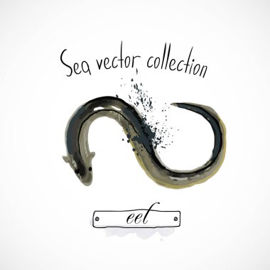 Beyaz arka planda deniz ürünleri ambalajı ya da menü suluboya sprey deniz ürünleri posteri tadı