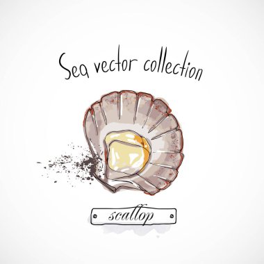 Deniz ürünleri el derisi çizimi set suluboya mürekkep, menü restoranı, karikatür baskı vektör çizimi, deniz ürünleri