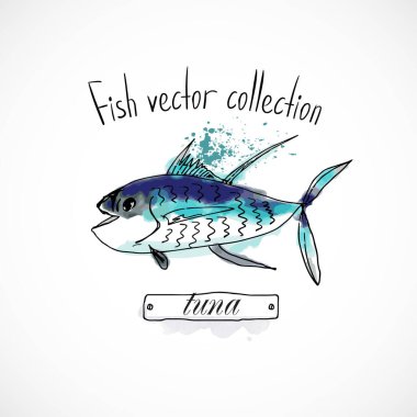 Balık tuna balığı eli çizilmiş suluboya mürekkep, menü restoranı, karikatür baskı vektör çizimi, deniz ürünleri