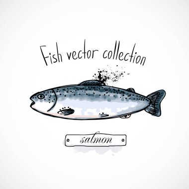 Balık somonu elle çizilmiş set suluboya mürekkebi, menü restoranı, karikatür baskı vektör çizimi, deniz ürünleri
